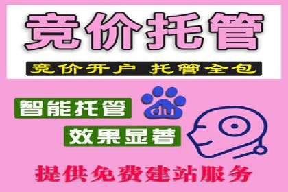 百度搜索推广案例集锦：实战技巧与策略解析